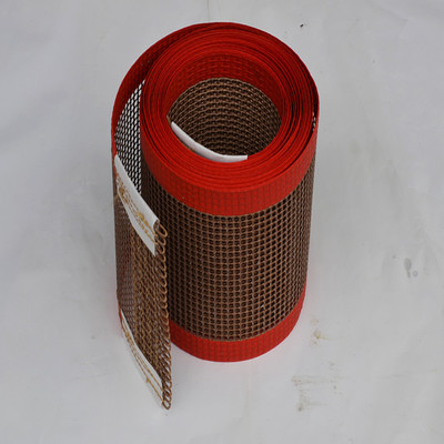 特氟龍（PTFE）網帶